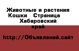 Животные и растения Кошки - Страница 2 . Хабаровский край